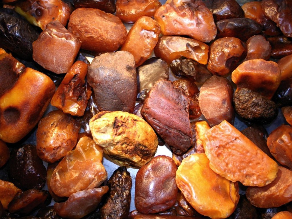 В Госгеокадастре рассказали о теневой схеме добычи янтаря в Житомирской области