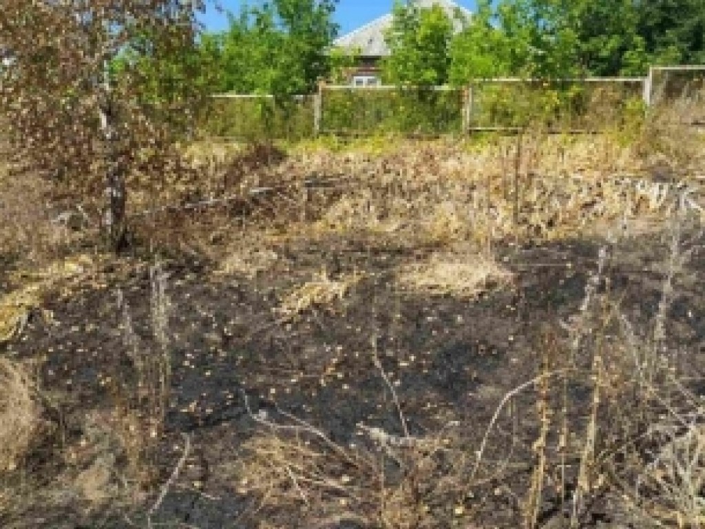 На Харьковщине во время сжигания сухостоя погибла пенсионерка