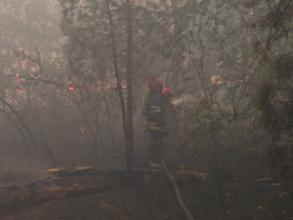 Пожары на Луганщине: в ГСЧС сообщили о двух очагах огненной стихии
