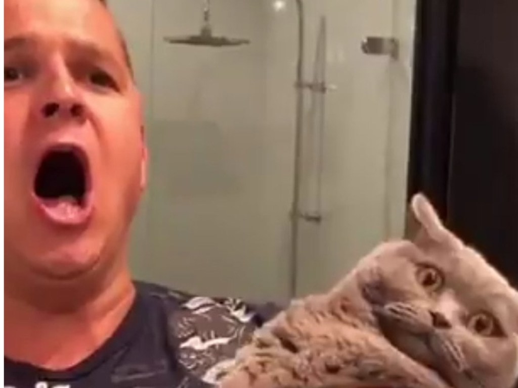 Реакция котика на пение хозяина рассмешила Сеть (ФОТО, ВИДЕО)