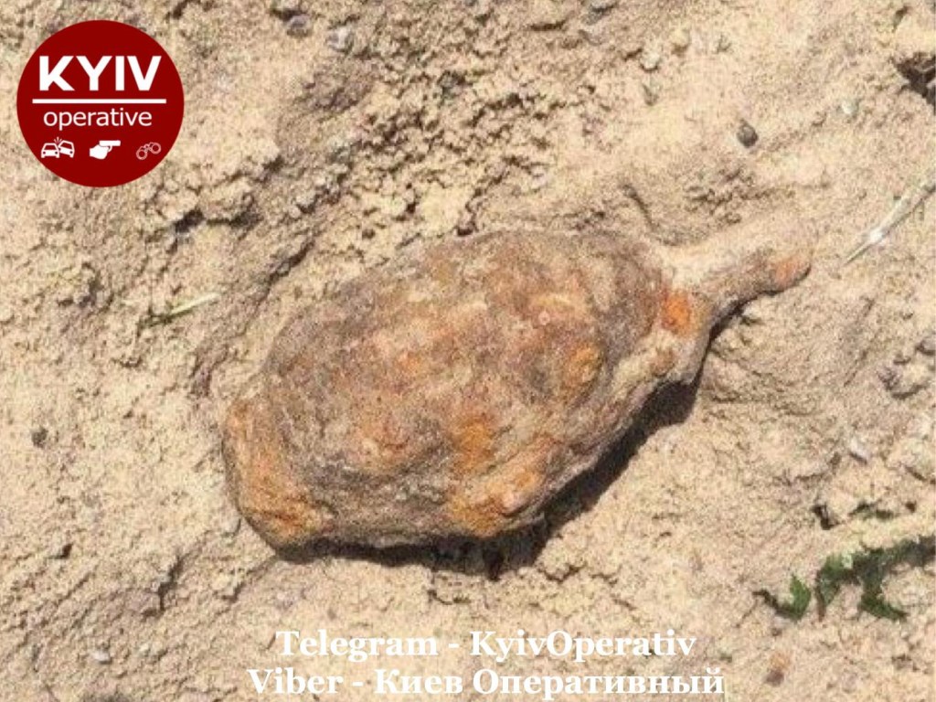 На детской площадке в Киеве обнаружили в песке ржавую гранату, оставшуюся с 1941 года (ФОТО)