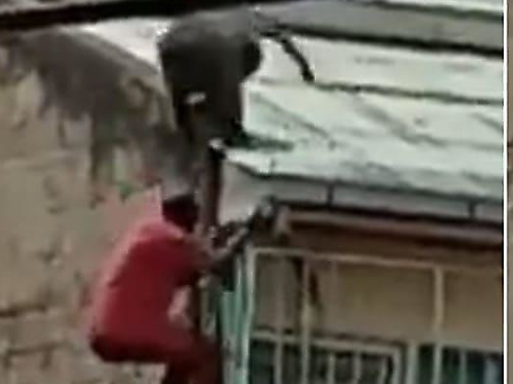 Бабуин жестоко сбросил водителя маршрутки с крыши здания (ФОТО, ВИДЕО)