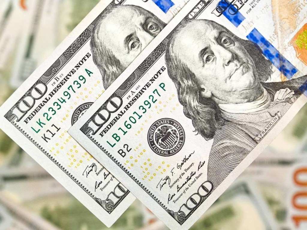 НБУ устанавливает курс доллара в угоду иностранным спекулянтам &#8212; экономист