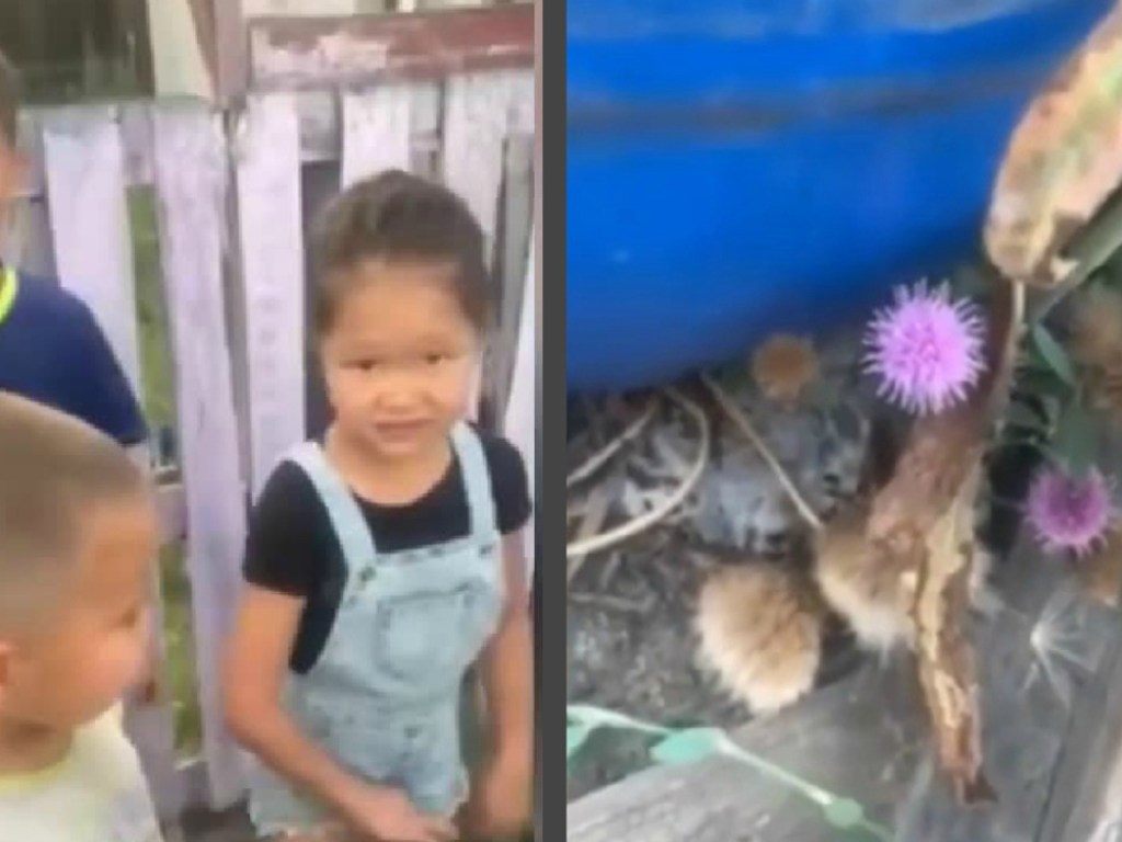 Дети обнаружили коронавирус у себя в огороде (ФОТО, ВИДЕО)