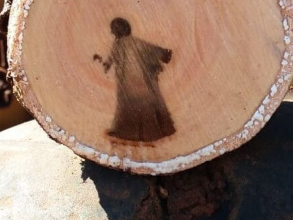 В Бразилии на дереве узрели образ Иисуса Христа (ФОТО)