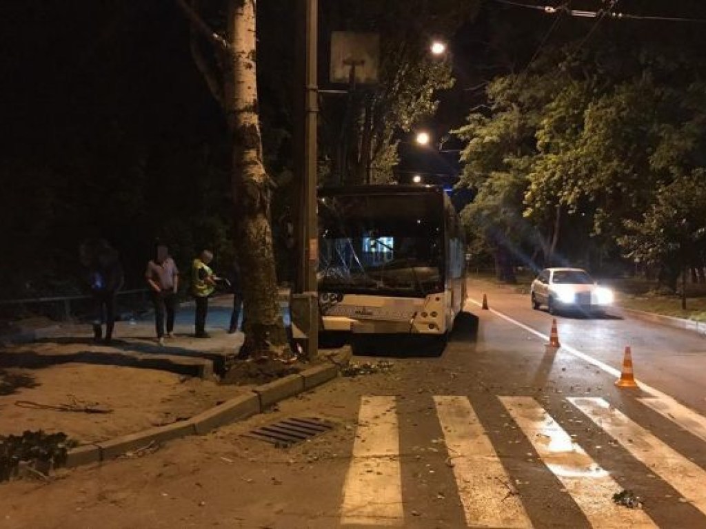 Шестеро пострадавших: в Запорожье автобус врезался в столб (ФОТО)