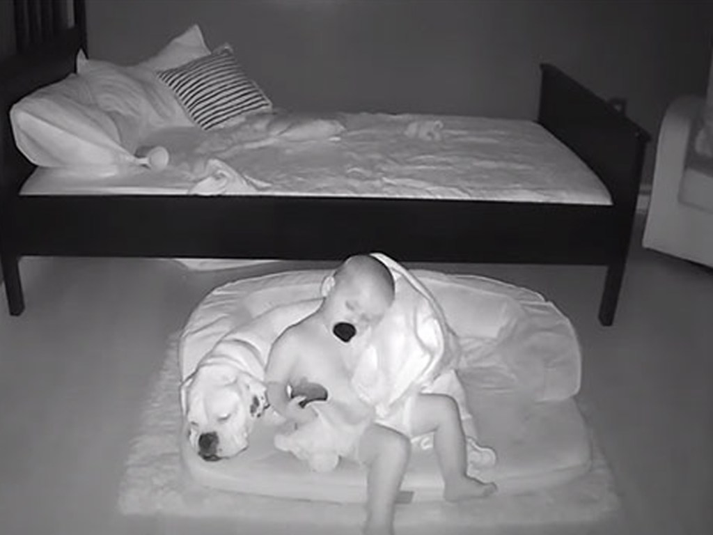 Родители установили видеоняню в комнате у малыша и очень удивились увиденному (ФОТО, ВИДЕО)