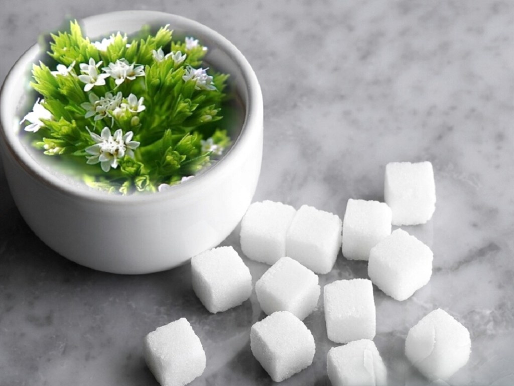 Эксперты назвали лучшие натуральные заменители сахара