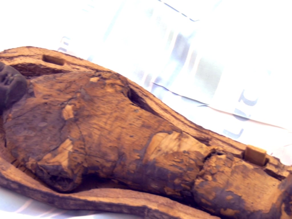 Израильские ученые раскрыли тайну саркофага с мумией: останков девочки там не оказалось