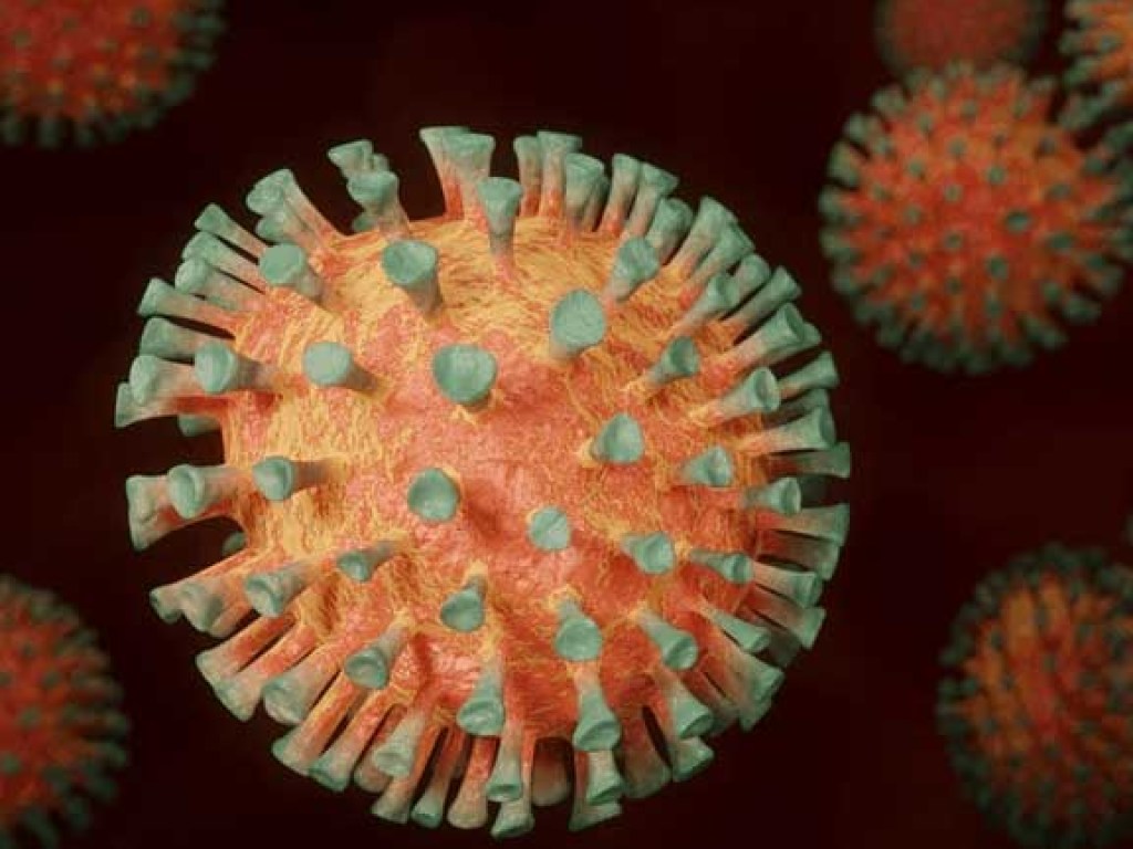 Ученые: в мире существует 6 различных форм коронавируса