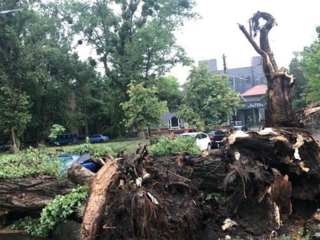 Мощный ураган с ливнем в Киеве затопил улицы и повалил деревья (ФОТО)