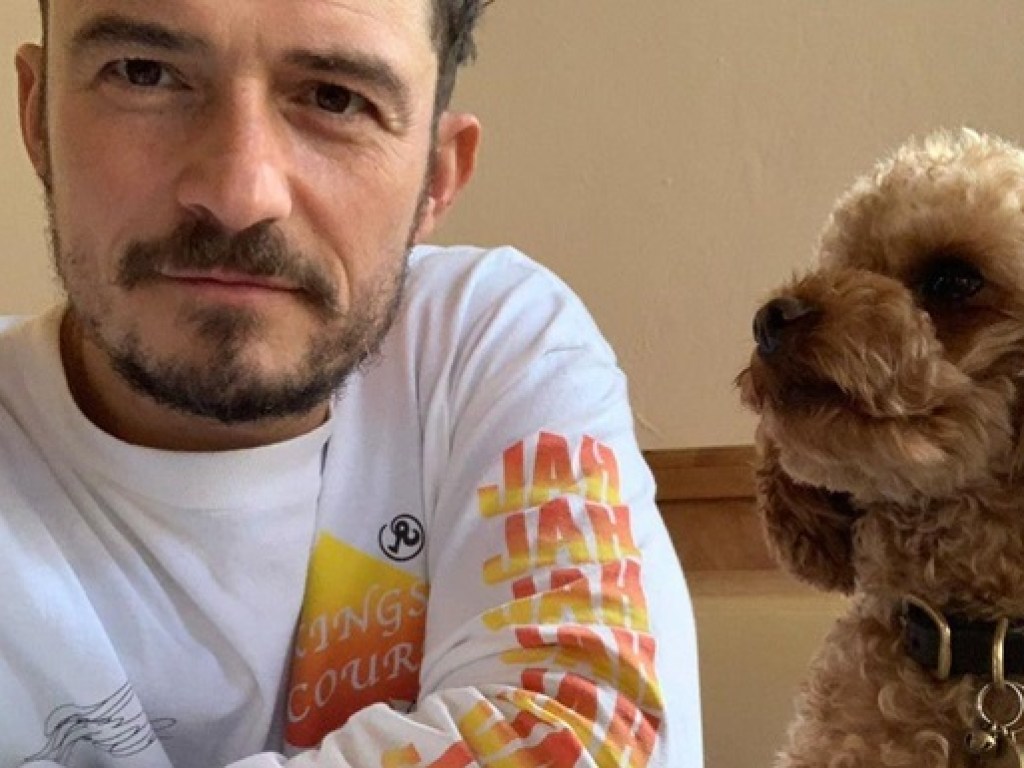 Орландо Блум сделал тату в честь своей умершей собаки (ФОТО, ВИДЕО)