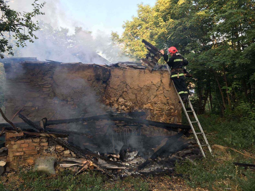 Пожар в Одесской области: в огне погибли брат и сестра (ФОТО)
