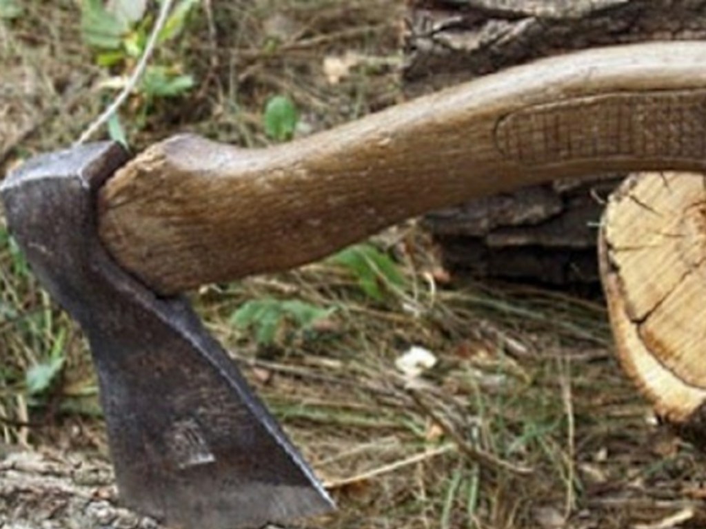 Копы задержали 62-летнего «черного лесоруба» в Кривом Роге