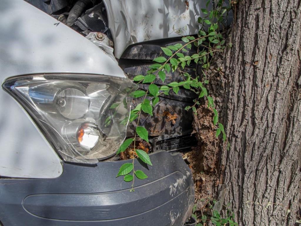 В Днепре микроавтобус врезался в дерево: травмы получили 6 человек (ФОТО)