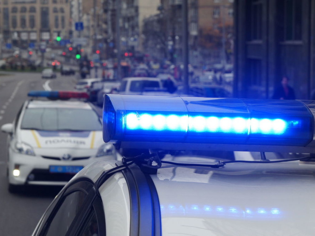 В Каменском двое патрульные не смогли усадить задержанного в авто (ВИДЕО)