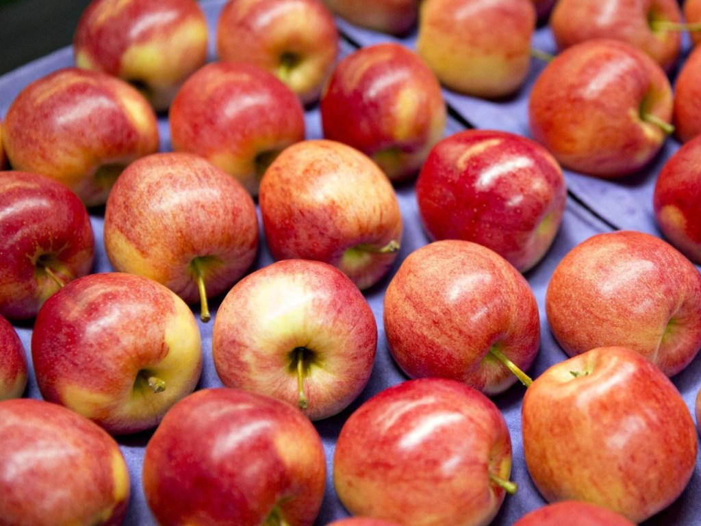 В Украине осенью рекордно подешевеют яблоки &#8212; эксперт 