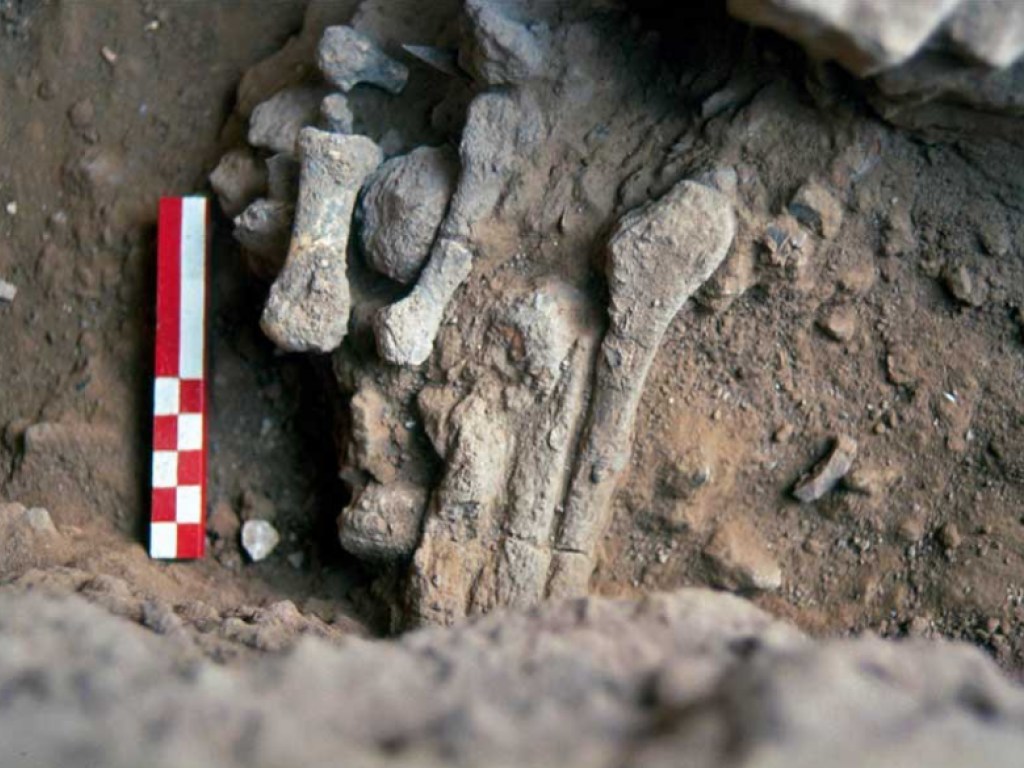 В пещере Армуд нашли останки предположительно неандертальской женщины (ФОТО)