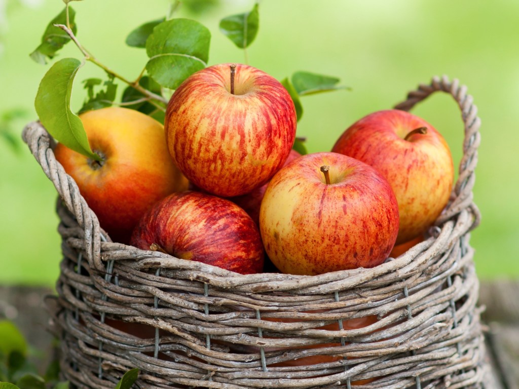 Яблоки нужно есть правильно: как потреблять фрукт с максимумом пользы