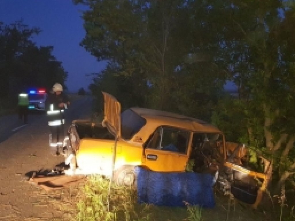 В Запорожской области автомобиль врезался в дерево: водителя и пассажиров доставили в больницу (ФОТО)