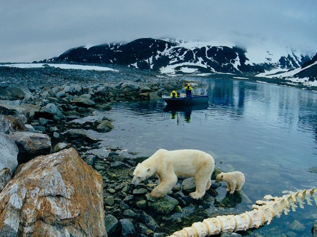В Арктике зафиксирован новый температурный рекорд