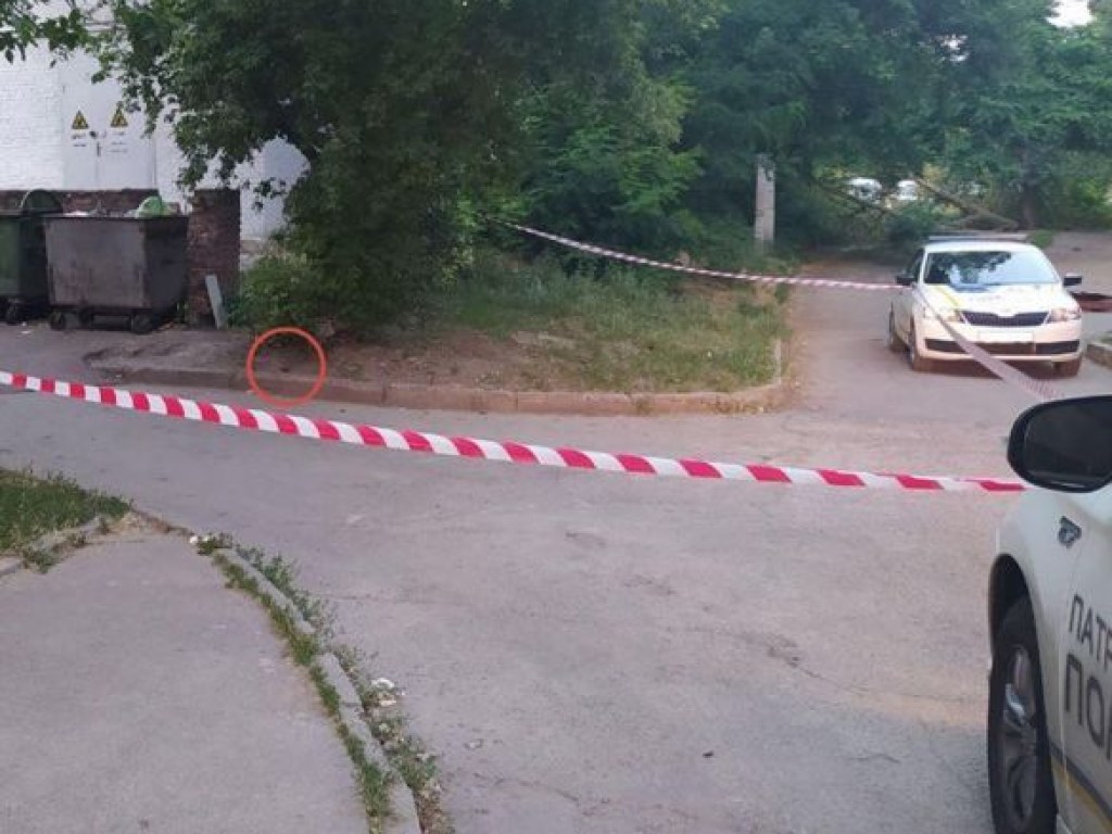 В Кропивницком дети играли с боевой гранатой – полиция (ФОТО)