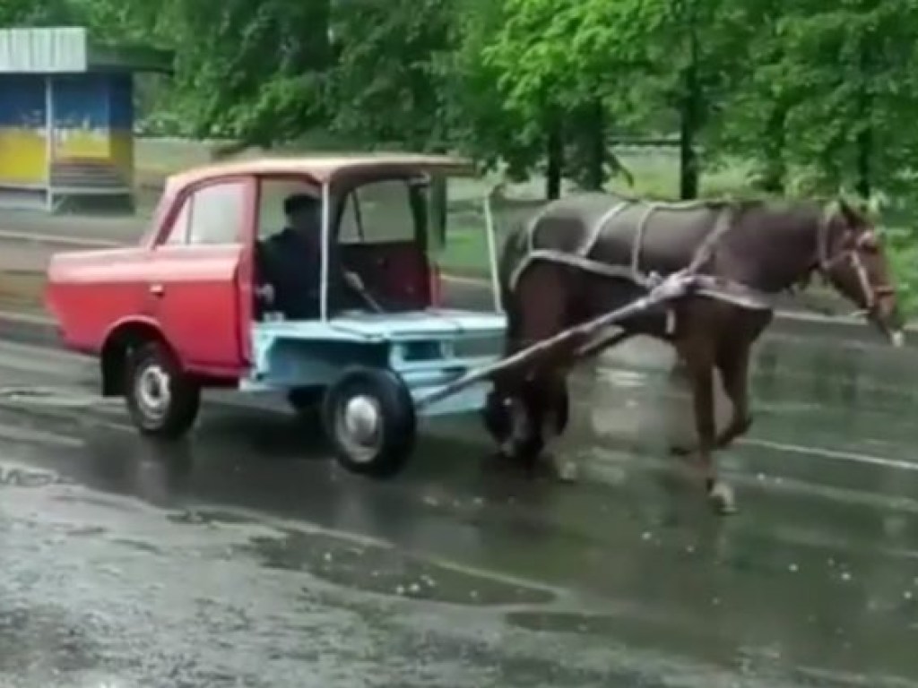 «Форд Мустанг эконом»: В Ровно заметили лошадь, которая тащила часть старой советской машины (ФОТО, ВИДЕО)