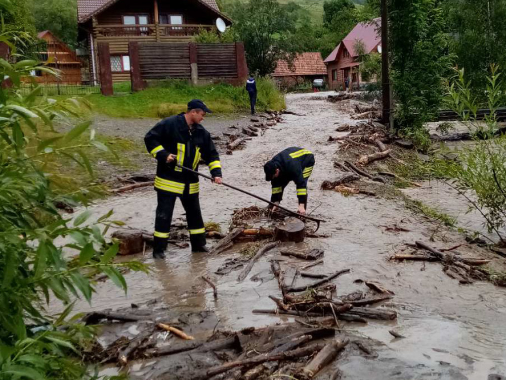 Непогода вернулась в западные регионы Украины: повалены деревья, оборваны линии электропередач (ВИДЕО)
