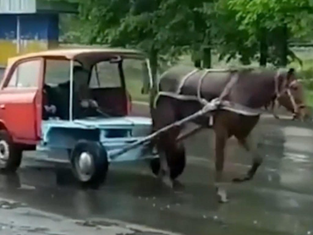 В Ровненской области очевидцы сняли на видео очень странную «повозку»