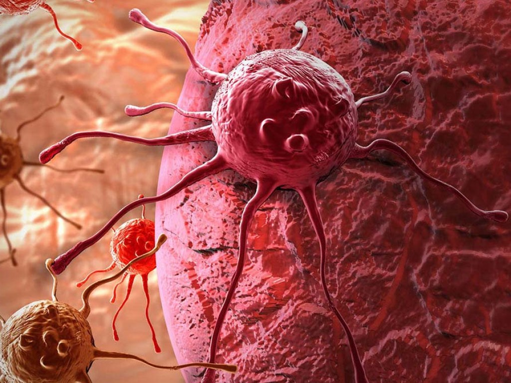 Австралийские ученые заявили о чудо-средстве для борьбы с раком