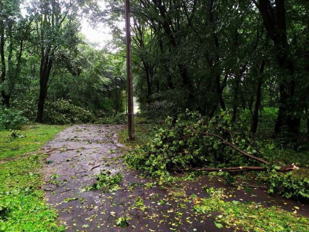На Волыни и в Ровенской области бушевал ураган: во время разгула стихии снесло крыши домов, повалены деревья (ФОТО, ВИДЕО)