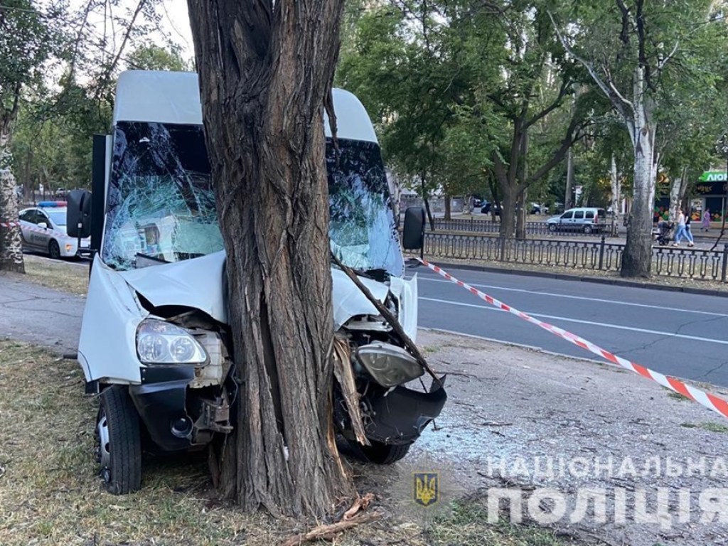 В Николаеве водитель маршрутки врезался в дерево, пострадавшие госпитализированы (ФОТО, ВИДЕО)