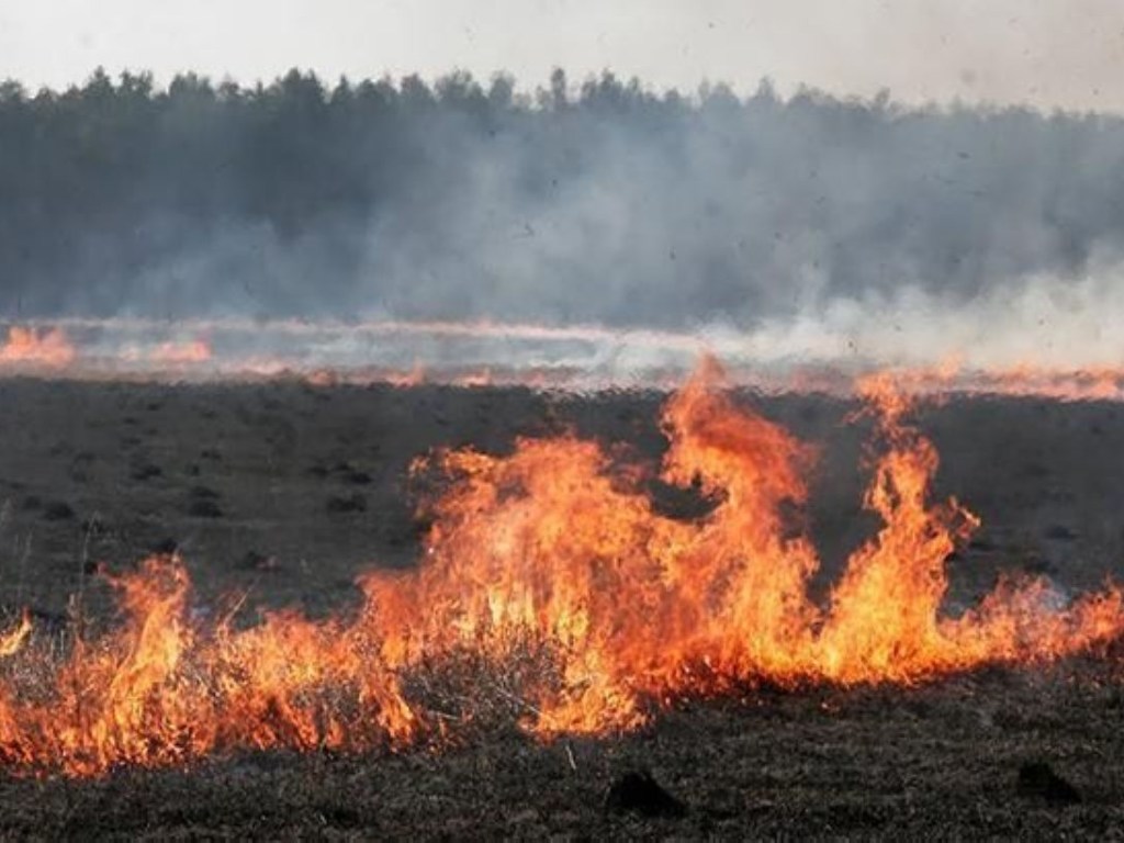 Синоптики и ГСЧС предупредили о пожарной опасности в ряде областей Украины