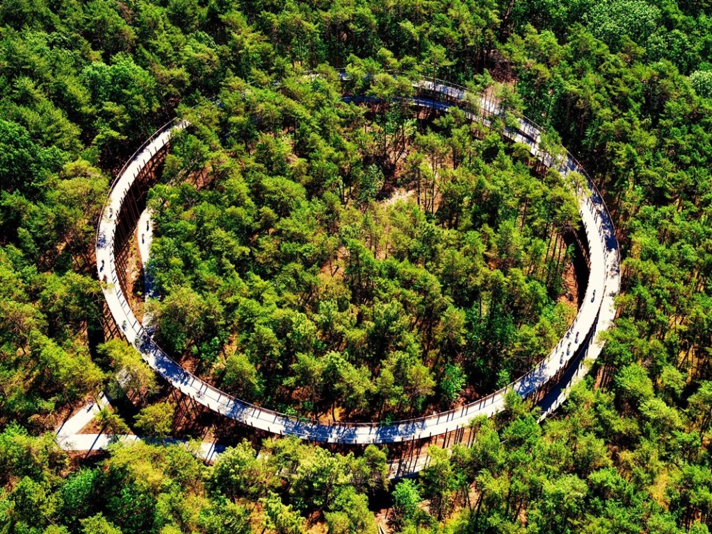 Интересный вариант отдыха: В Бельгии туристы могут пожить на деревьях (ФОТО)