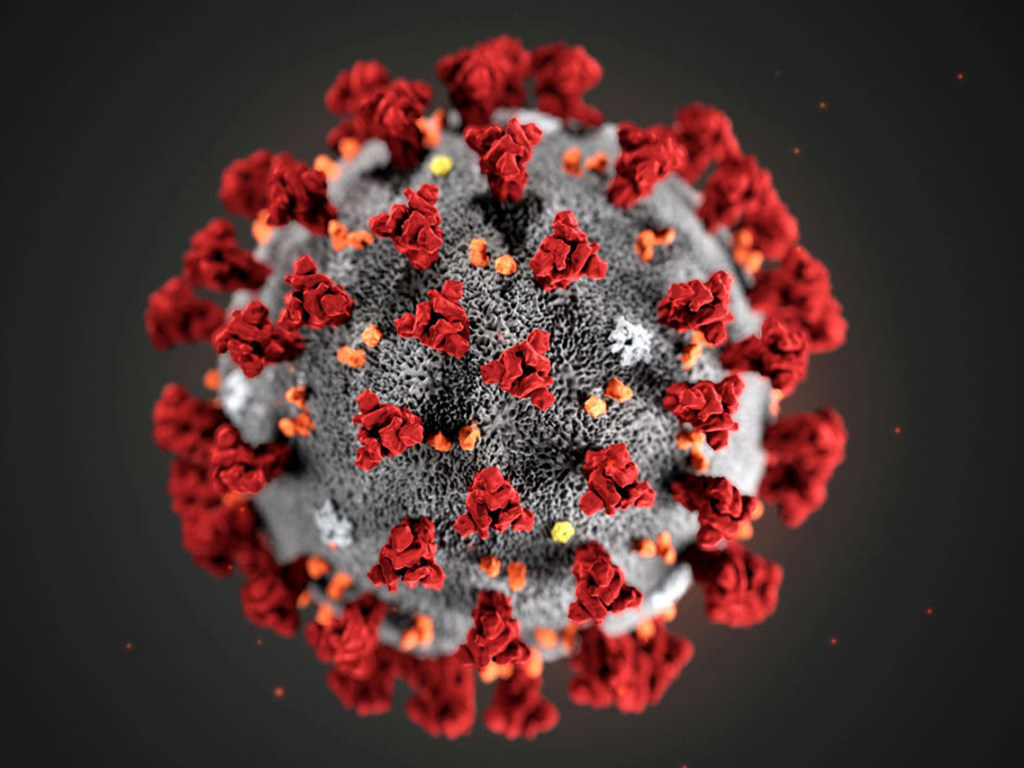 Ученые заявили о новой патологии у переболевших коронавирусом