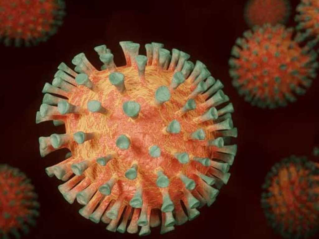 Иммунолог назвал типы людей, которые не заразятся коронавирусом 