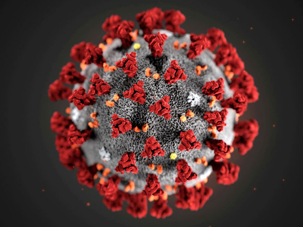 Ученые определили сроки замедления распространение коронавируса в Украине
