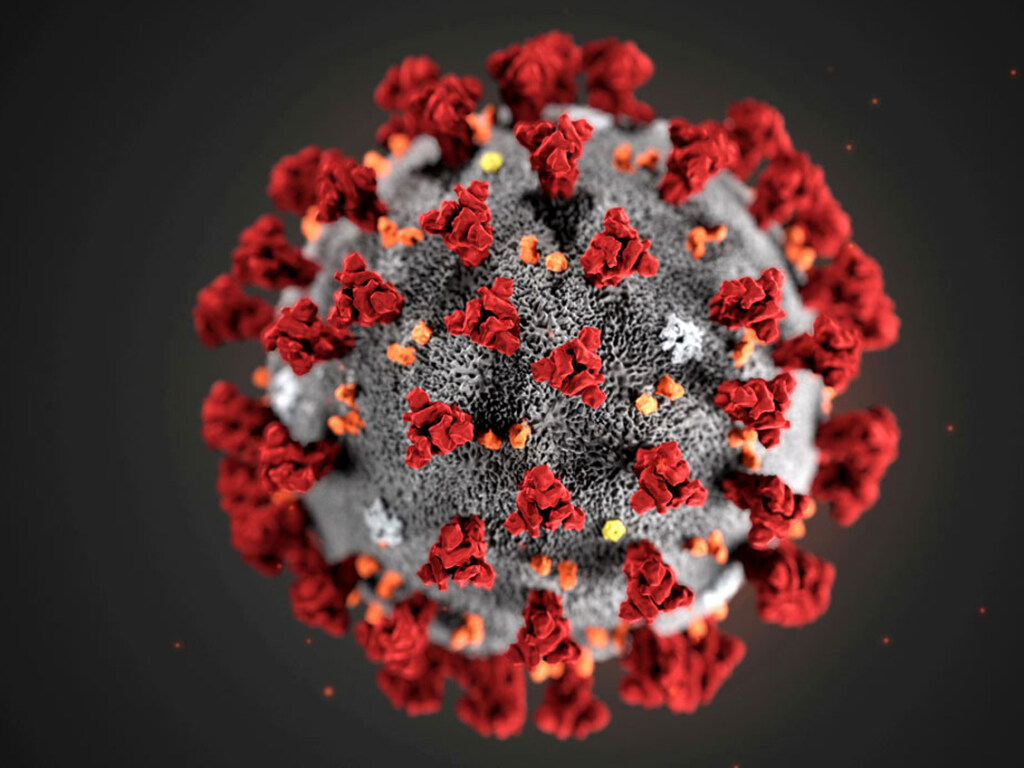 Ученые назвали гормоны, защищающие от коронавируса