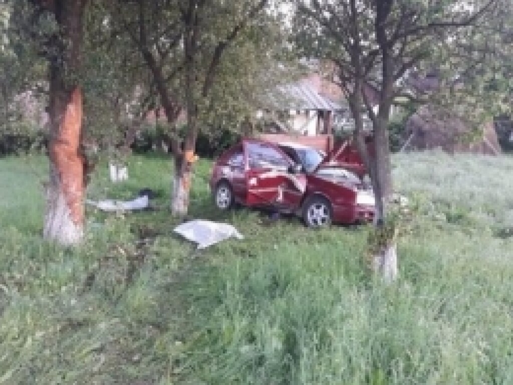 На Закарпатье Volkswagen врезался в дерево: погибло двое парней (ФОТО)