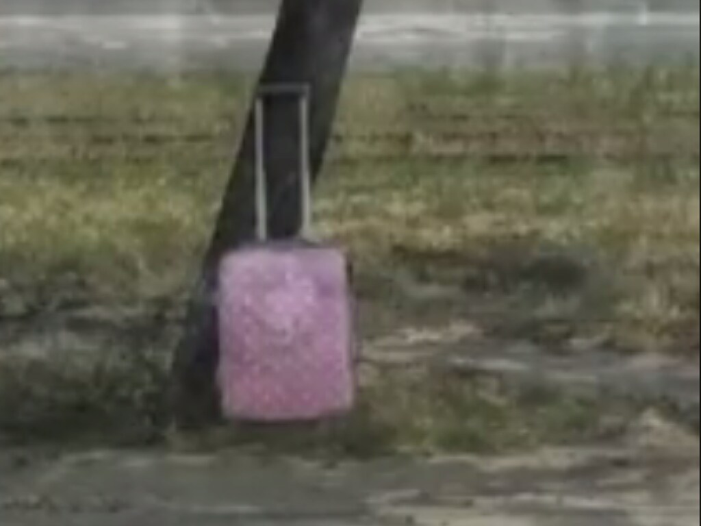 В Оболонском районе Киева найден подозрительный чемодан: улицы перекрыты &#8212; СМИ