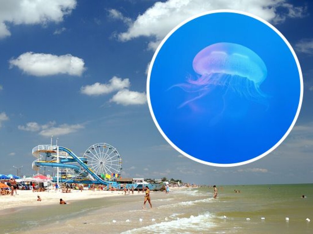 Туристы пожаловались на отдых на азовском курорте: дорого и медузы (ФОТО, ВИДЕО)