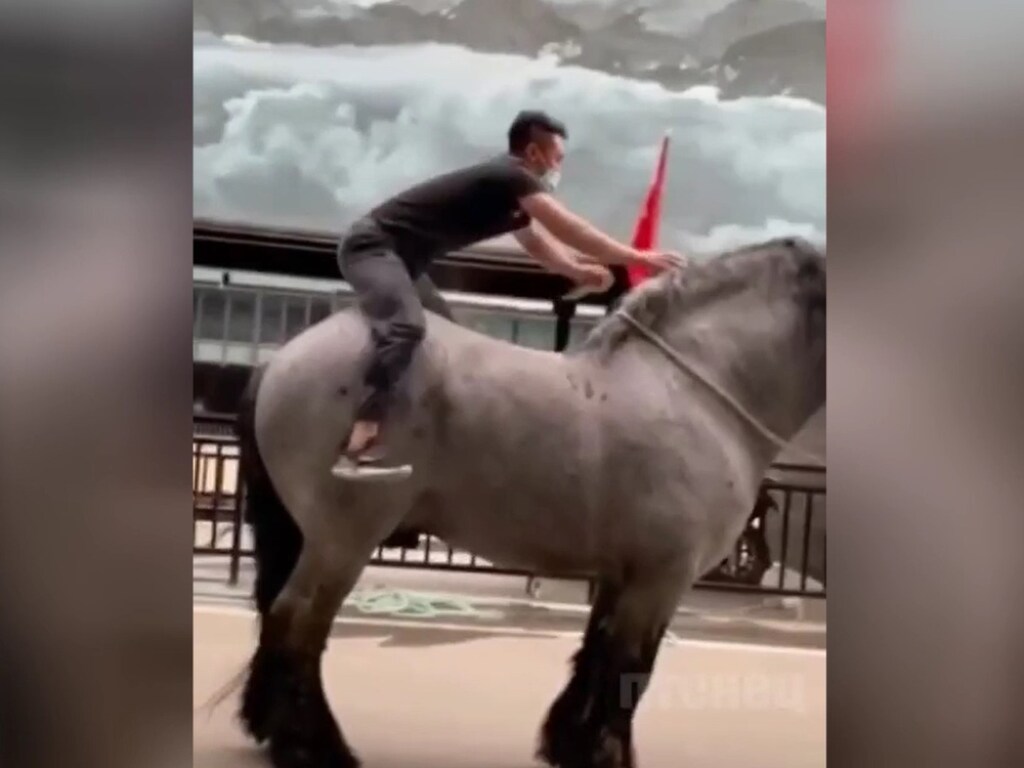 Гигантский конь попал на видео и покорил Сеть (ФОТО, ВИДЕО)