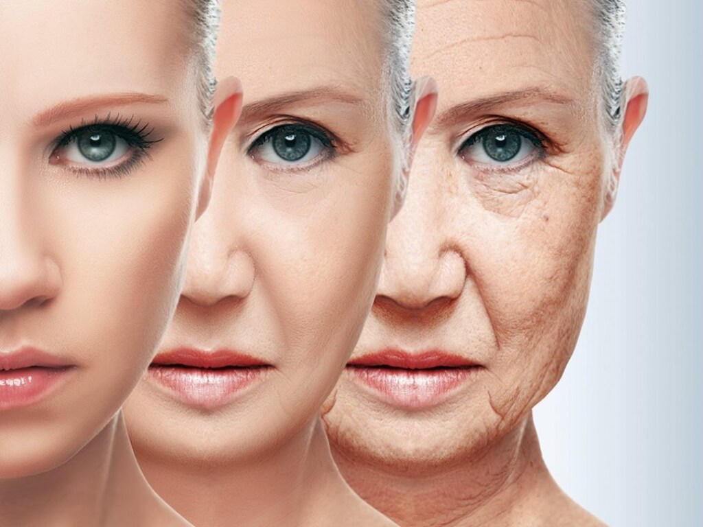 Эксперты выяснили, от чего зависит скорость старения