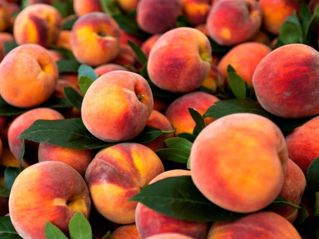 Диетолог рассказала об опасности абрикосов и персиков