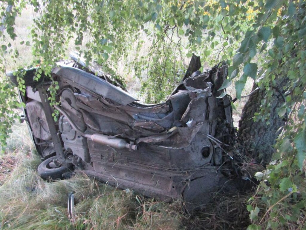 Смертельное ДТП под Черниговом: авто разорвало на две части после столкновения с деревом (ФОТО)
