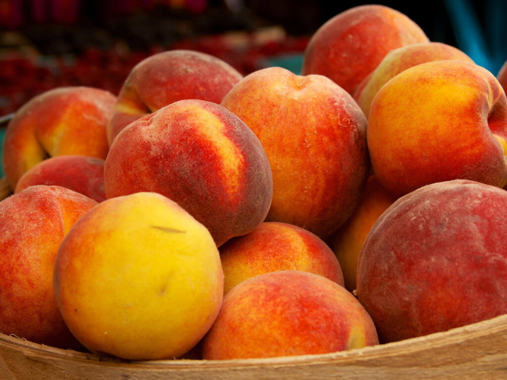 Медики рассказали, при каких болезнях полезно есть персики