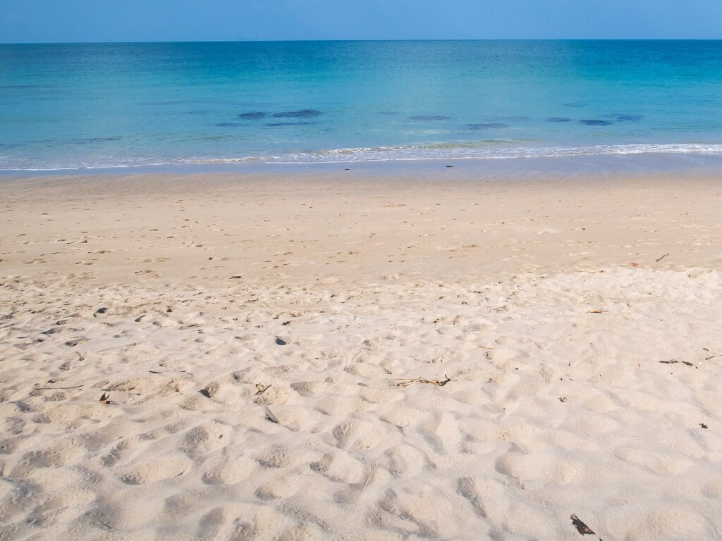 Глисты и патогенные грибы: эксперт рассказал об опасности пляжного песке