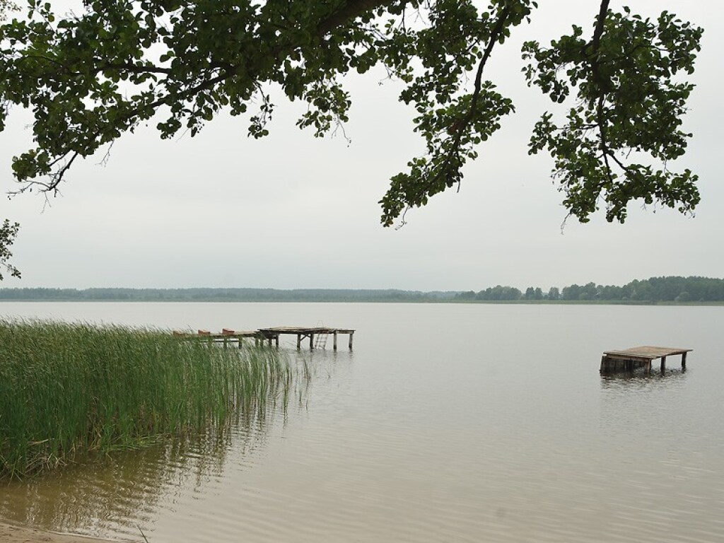 В Днепропетровской области в пруду утонул 7-летний ребенок
