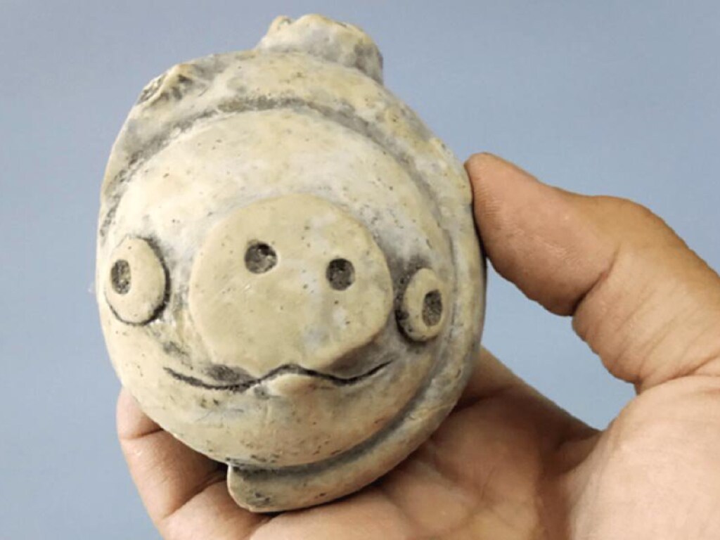 Археологи нашли 3000-летнюю «свинью из Angry Birds» в Китае (ФОТО)