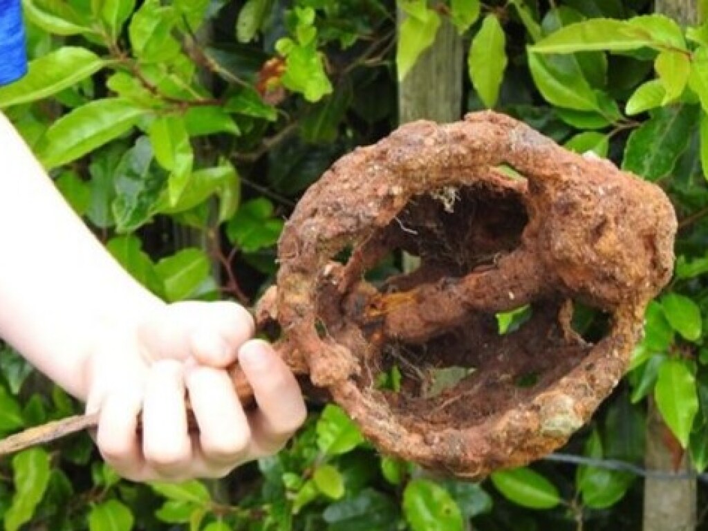 Британский школьник обнаружил старинный меч во дворе своего дома (ФОТО)